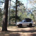 The Pines Campground, Mt Camel, Victoria