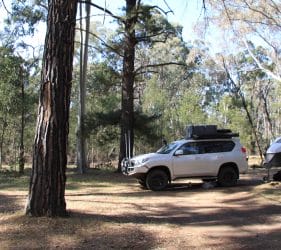 The Pines Campground, Mt Camel, Victoria