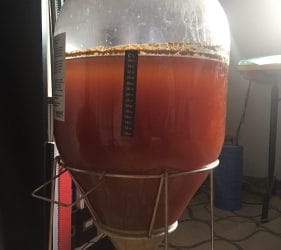 Leo's fermenting Golden Ale