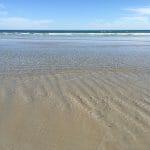 On the beach at Fitzroy River Reserve