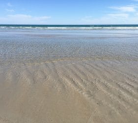 On the beach at Fitzroy River Reserve