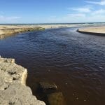 River outlet at Fitzroy River Reserve