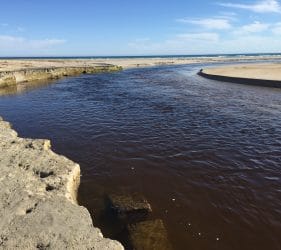 River outlet at Fitzroy River Reserve