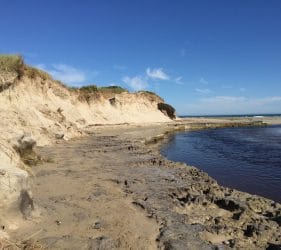 River outlet at Fitzroy River Reserve