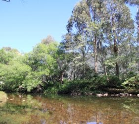 King River, Cheshunt South