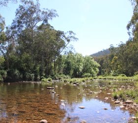 King River, Cheshunt South