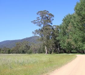 King River, Cheshunt South