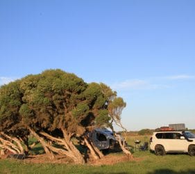 Camping at Fitzroy River Reserve