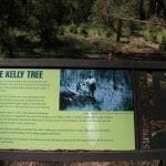 Ned Kelly Tree, Stringybark Creek