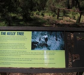 Ned Kelly Tree, Stringybark Creek