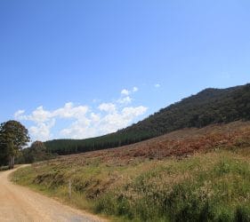 Blue Range Plantation