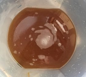 The Northwest Pale Ale before adding the yeast