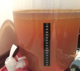 The Northwest Pale Ale after 3 days of fermenting