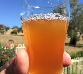 The Pale Ale looking good and tasting great!