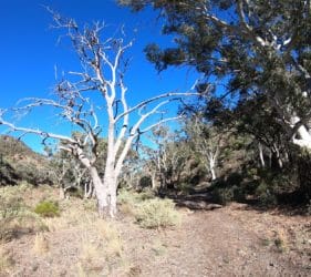 Gorge in Spear Creek