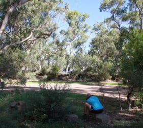 Showing the large area of campsites at Spear Creek Caravan Park (our camp in background)
