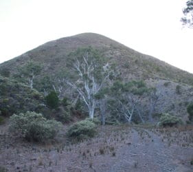 Gorge in Spear Creek