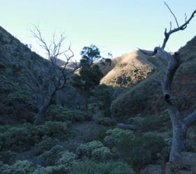 Gorge in Spear Creek