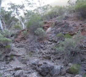 Gorge in Spear Creek looking for stromatolites
