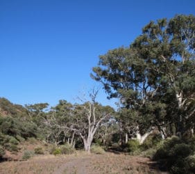 Gorge in Spear Creek
