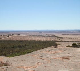 View from Mount Wudinna, South Australia