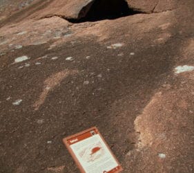 Tafoni on Mount Wudinna, South Australia