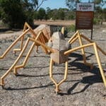 Dinosaur Ant, Poochera, South Australia