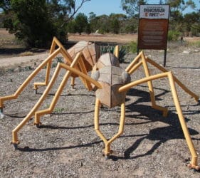 Dinosaur Ant, Poochera, South Australia