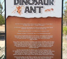Dinosaur Ant, Poochera, South Australia