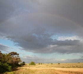 Rainbow over the saltbush looking south