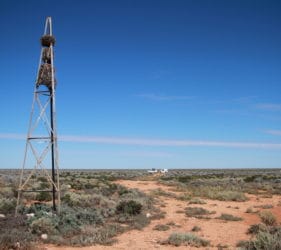 Multiple bird nests on an old Trig point on Cook Road