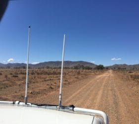 Sheep on Nectar Brook Road heading towards Spear Creek