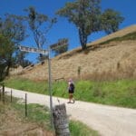 Leonie walking up O'Dea Road at intersection of O'Dea and Retreat Valley Roads, Gumeracha