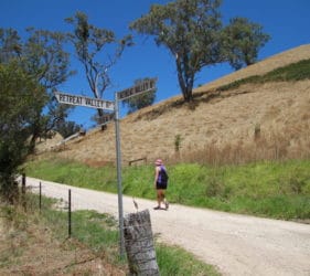Leonie walking up O'Dea Road at intersection of O'Dea and Retreat Valley Roads, Gumeracha