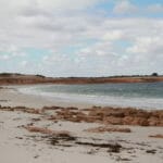 View along the coast at the Bamboos