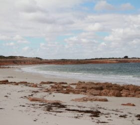 View along the coast at the Bamboos