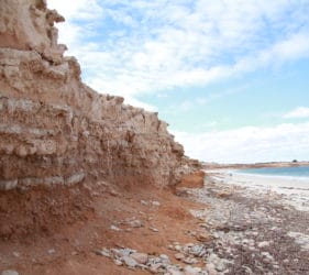 Red limestone cliffs along the coast at the Bamboos