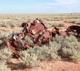 Carcasse on road to Cook, South Australia