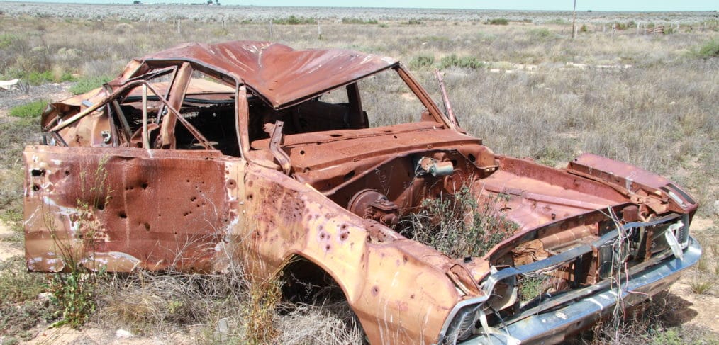 Carcasse on way to Murrawijinie Caves, Nullarbor, South Australia