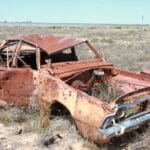 Carcasse on way to Murrawijinie Caves, Nullarbor, South Australia