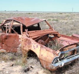 Carcasse on way to Murrawijinie Caves, Nullarbor, South Australia