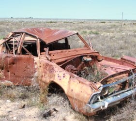 Carcasse on way to Murrawijinie Caves, Nullarbor, South Australia