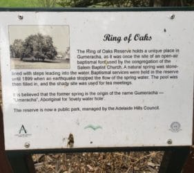Ring of Oaks Reserve, Gumeracha