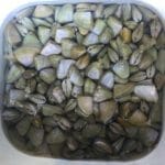Goolwa Cockles/Pipis collected at Middleton Beach