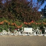 The Cycle of Life display presented by the Gumeracha Medical Practice for the Tour Down Under