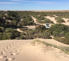 View back to our campsite from dunes at the Bamboos