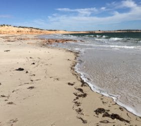 View along the coast at the Bamboos