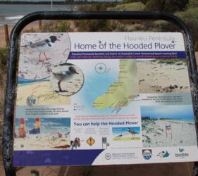 Hooded Plover sign at Middleton Beach