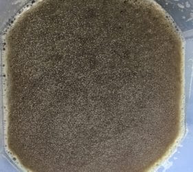 Yeast added to the wort in the Fermenting Vessel