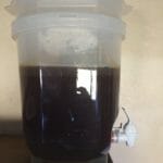 The colour of the brew on Day 1